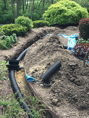 Drainage in Arlington