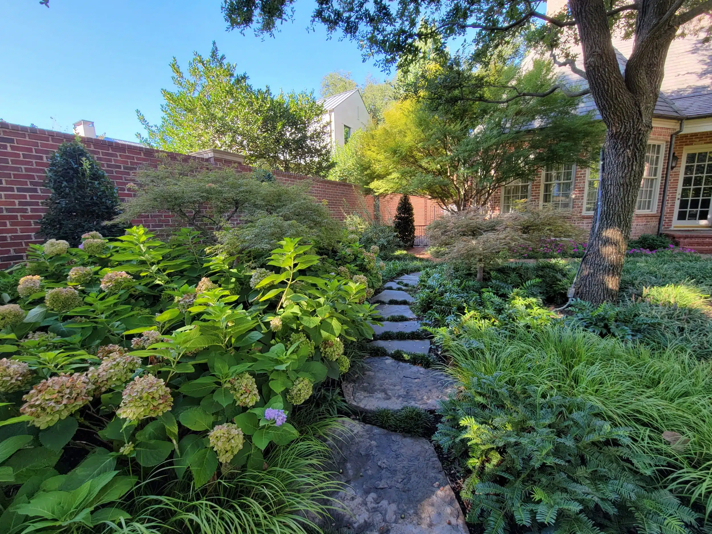 Landscape Design in Arlington